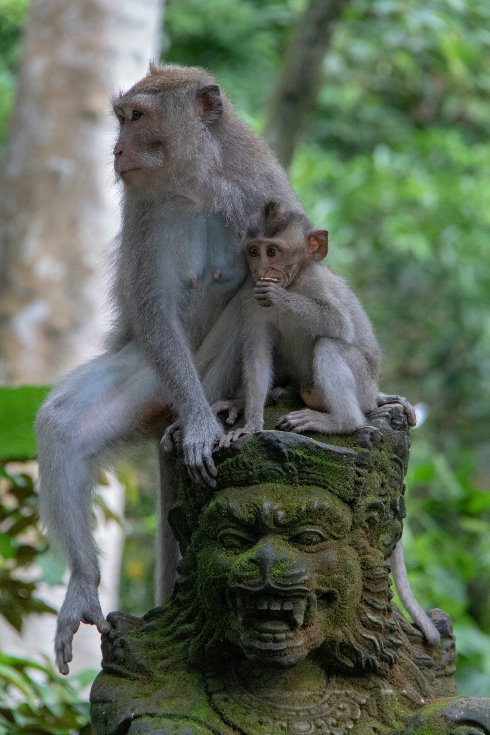 monkey on ubud statue scaled